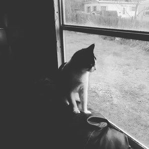 Meet your Posher, Austin